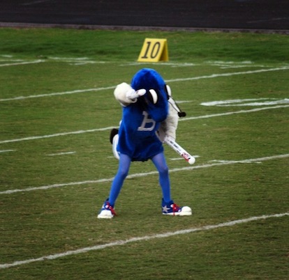 Buzz, aka Kyle Douglass, at work during a Hornets football game.