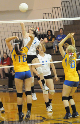 Courtney Davidson (7) prepares to spike the ball. (Photo by Kevin Nagle)