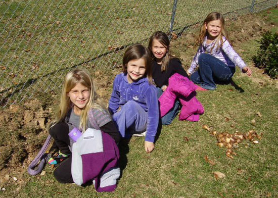 First grade students plant daffodils.