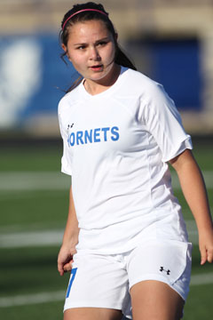 4.10LevinsonOrHCampbellRN