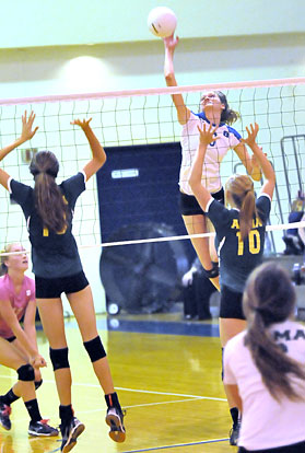 Allie Anderson (6) attacks high above the net. (Photo by Kevin Nagle)